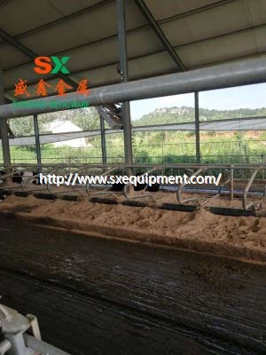 Farm Cow Free Stall Cubicle